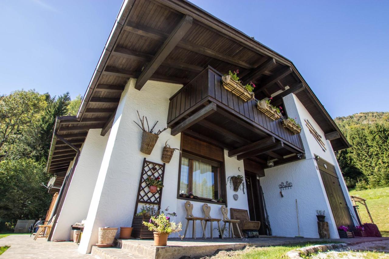Orizzonti Montani Appartement Pieve di Cadore Buitenkant foto