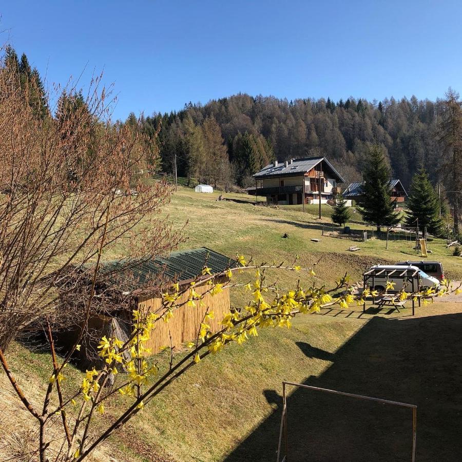 Orizzonti Montani Appartement Pieve di Cadore Buitenkant foto