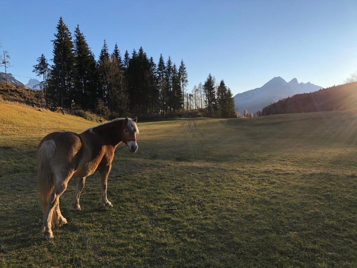 Orizzonti Montani Appartement Pieve di Cadore Buitenkant foto