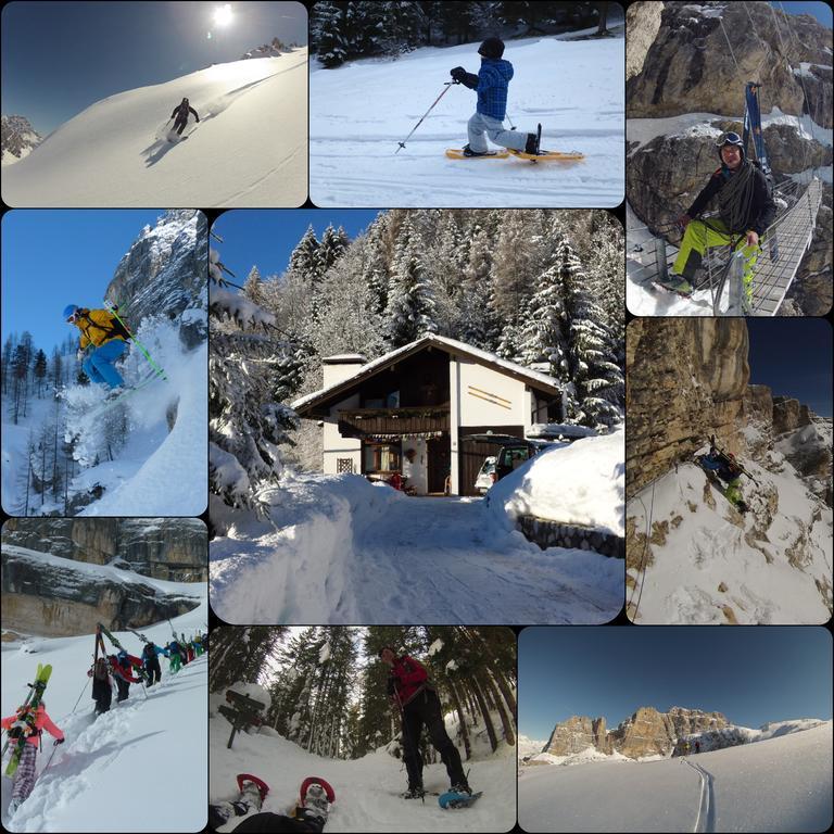 Orizzonti Montani Appartement Pieve di Cadore Buitenkant foto
