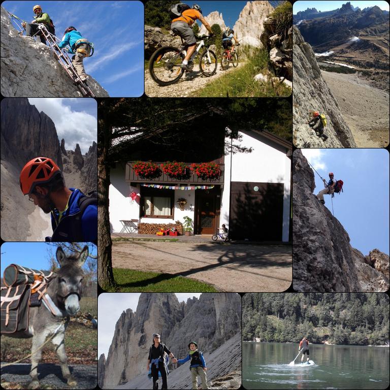 Orizzonti Montani Appartement Pieve di Cadore Buitenkant foto