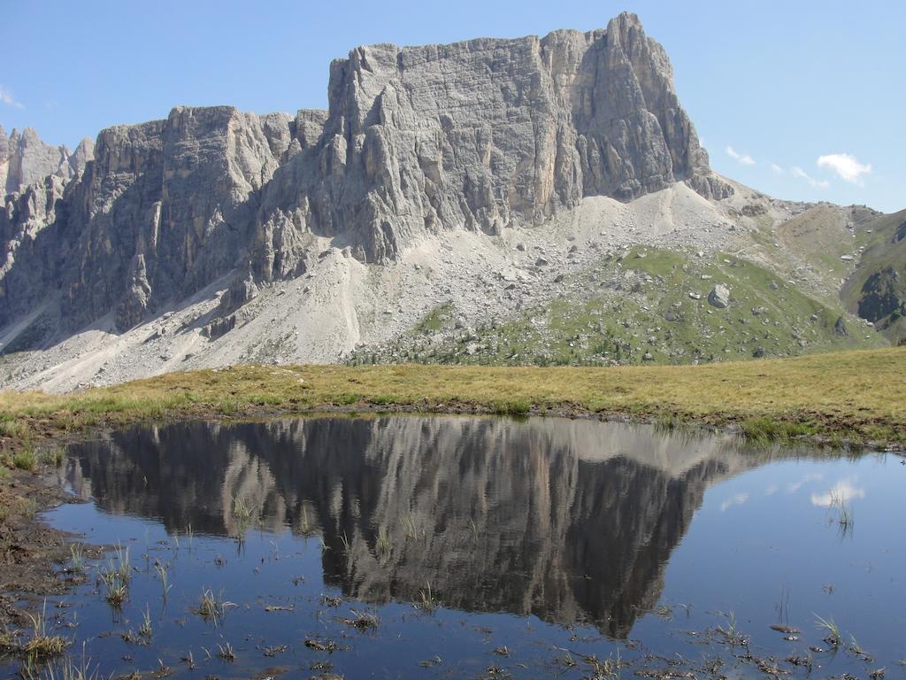 Orizzonti Montani Appartement Pieve di Cadore Buitenkant foto