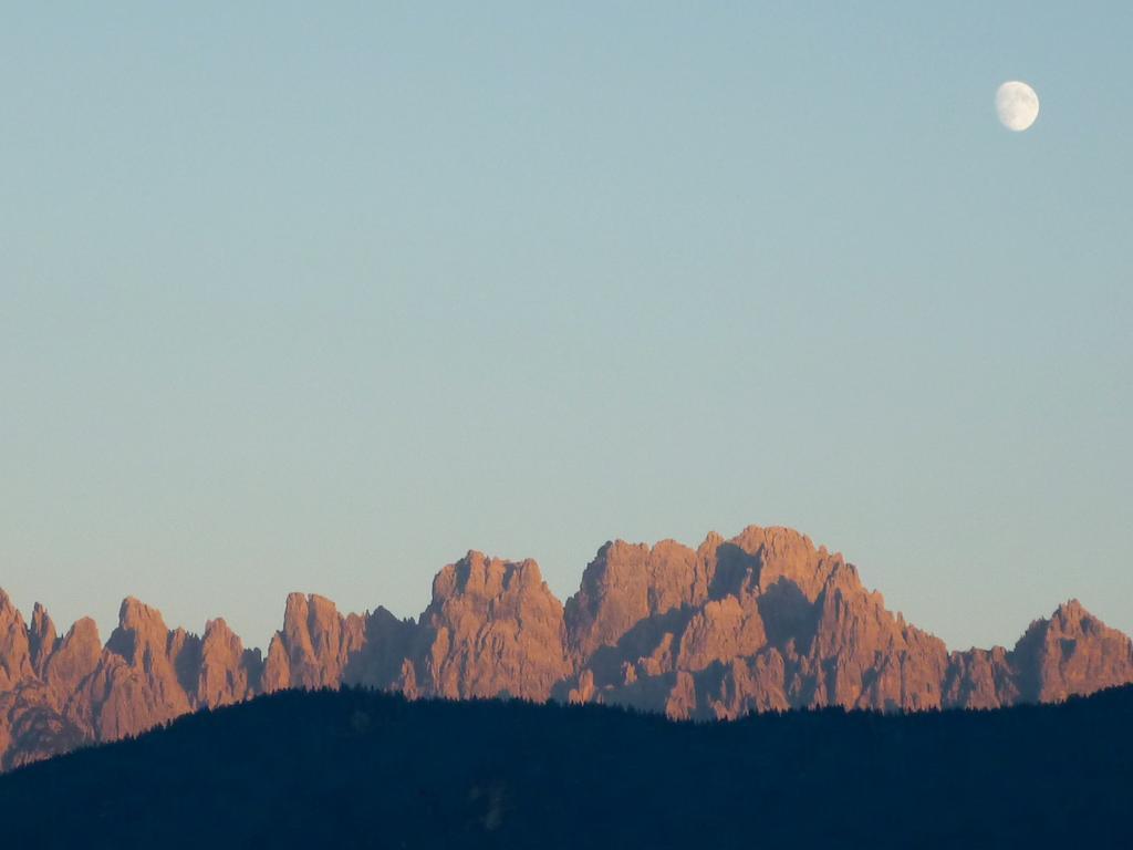 Orizzonti Montani Appartement Pieve di Cadore Buitenkant foto