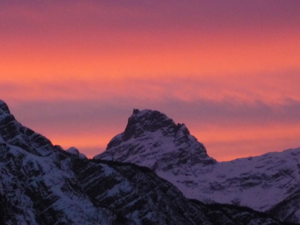 Orizzonti Montani Appartement Pieve di Cadore Buitenkant foto