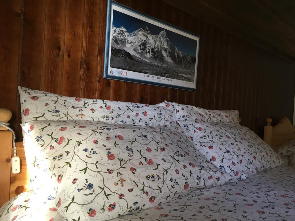 Orizzonti Montani Appartement Pieve di Cadore Buitenkant foto