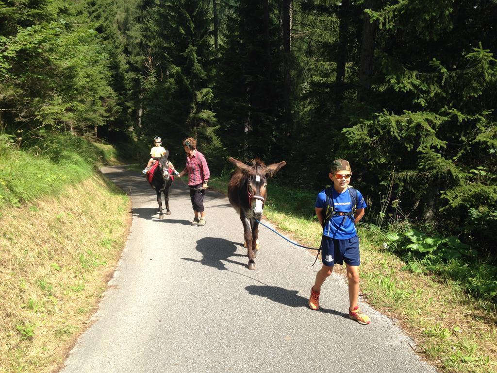 Orizzonti Montani Appartement Pieve di Cadore Buitenkant foto